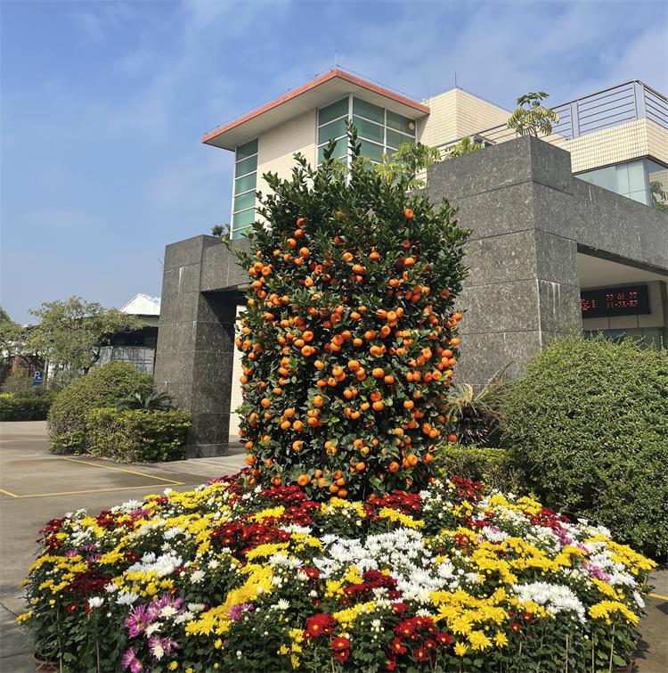 廣東（dōng）順德（dé）金（jīn）康業塑料有限公司